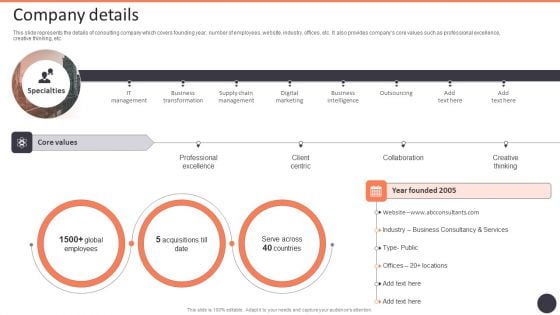 Business Strategy Consulting Solutions Company Outline Company Details Infographics PDF