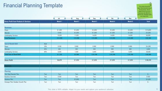 Business Strategy Development Process Financial Planning Template Information PDF