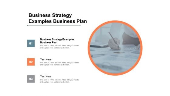 Business Strategy Examples Business Plan Ppt PowerPoint Presentation Ideas Cpb