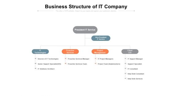 Business Structure Of It Company Ppt PowerPoint Presentation Gallery Graphics Template