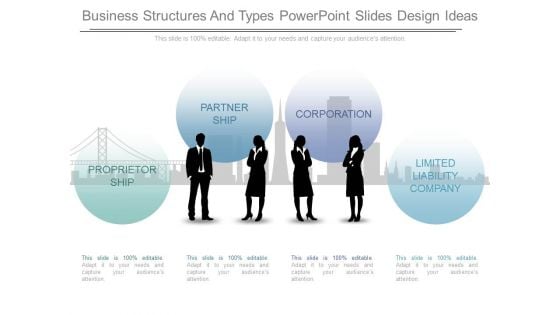 Business Structures And Types Powerpoint Slides Design Ideas