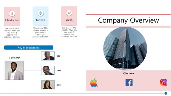 Business Synergies Company Overview Ppt Icon Shapes PDF