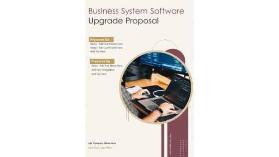 Business System Software Upgrade Proposal Example Document Report Doc Pdf Ppt