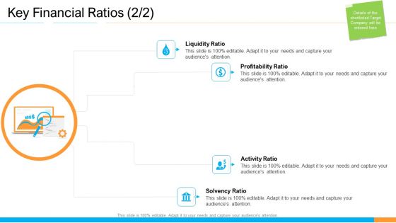 Business Takeover Plan For Inorganic Growth Key Financial Ratios Price Summary PDF