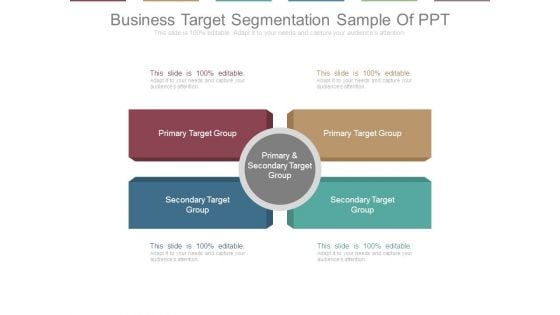 Business Target Segmentation Sample Of Ppt