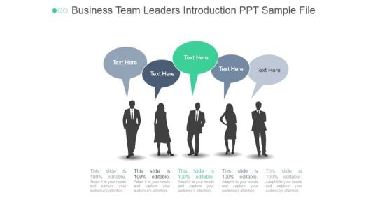Business Team Leaders Introduction Ppt PowerPoint Presentation Pictures