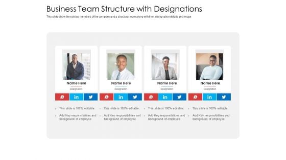 Business Team Structure With Designations Infographics PDF
