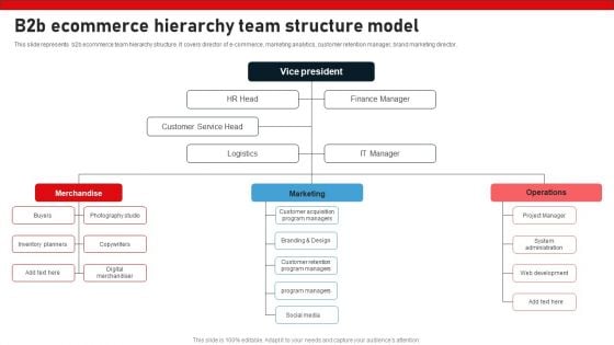 Business To Business Digital Channel Management B2B Ecommerce Hierarchy Team Structure Model Ideas PDF