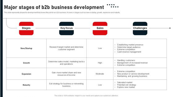 Business To Business Digital Channel Management Major Stages Of B2B Business Development Elements PDF