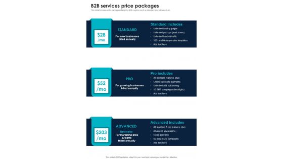 Business To Business Enterprise B2b Services Price Packages One Pager Sample Example Document