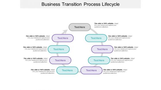 Business Transition Process Lifecycle Ppt PowerPoint Presentation File Professional PDF