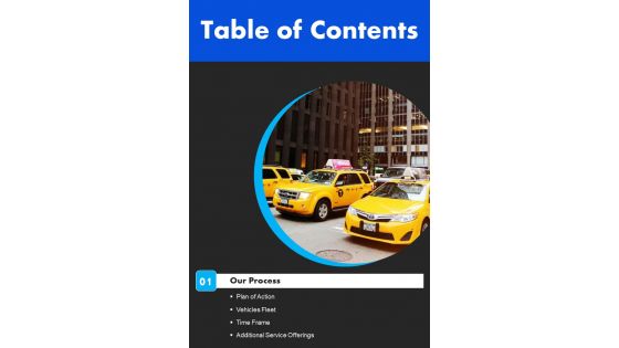 Business Transportation Table Of Contents One Pager Sample Example Document