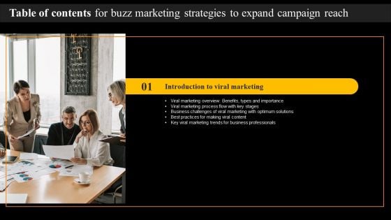 Buzz Marketing Strategies To Expand Campaign Reach Table Of Contents Introduction PDF