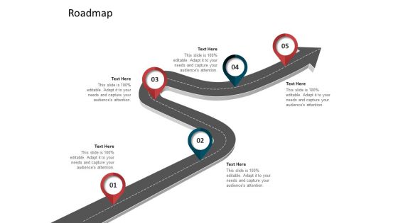 CDD Process Roadmap Ppt Show Rules PDF