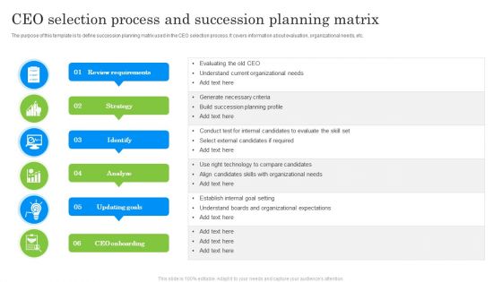 CEO Selection Process And Succession Planning Matrix Ppt Gallery Sample PDF