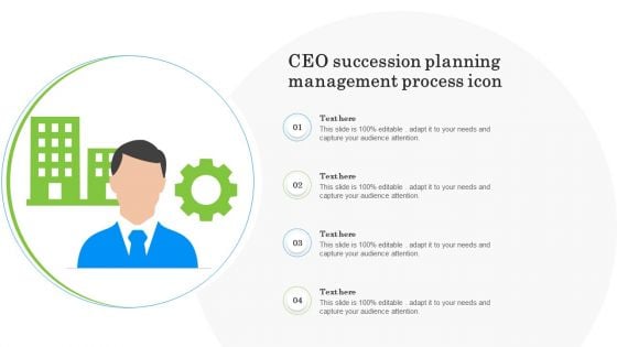 CEO Succession Planning Management Process Icon Ppt Infographic Template Slides PDF