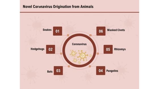 COVID 19 Pandemic Disease Novel Coronavirus Origination From Animals Diagrams PDF