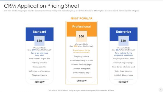 CRM Application Pricing Sheet Background PDF