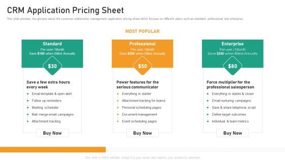 CRM Application Pricing Sheet Structure PDF