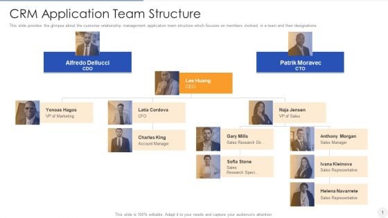 CRM Application Team Structure Brochure PDF CRM Application Team Structure Brochure PDF