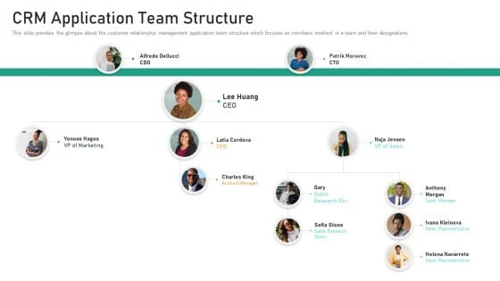 CRM Application Team Structure Guidelines PDF