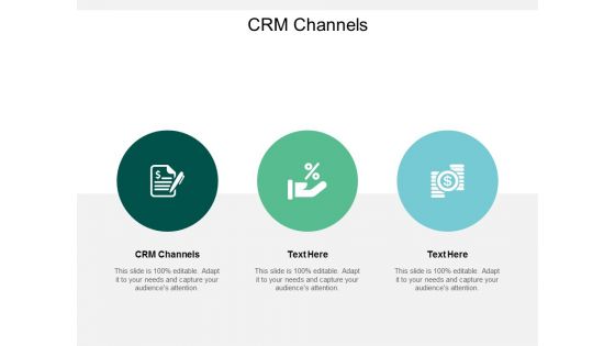 CRM Channels Ppt PowerPoint Presentation Summary Infographic Template Cpb