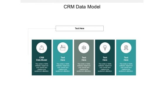 CRM Data Model Ppt PowerPoint Presentation Infographics Vector Cpb