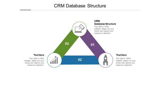 CRM Database Structure Ppt PowerPoint Presentation Example Cpb