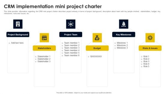 CRM Implementation Mini Project Charter Elements PDF CRM Implementation Mini Project Charter Elements PDF