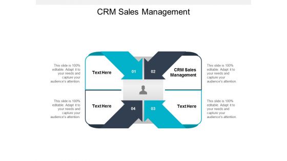 CRM Sales Management Ppt PowerPoint Presentation File Model Cpb