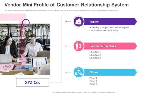 CRM Transformation Toolkit Vendor Mini Profile Of Customer Relationship System Themes PDF