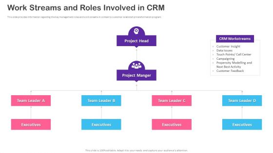 CRM Transformation Toolkit Work Streams And Roles Involved In CRM Ppt PowerPoint Presentation File Example Topics PDF