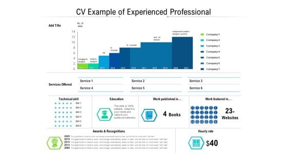 CV Example Of Experienced Professional Ppt PowerPoint Presentation Professional Infographic Template PDF