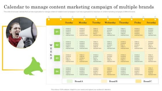 Calendar To Manage Content Marketing Campaign Of Multiple Brands Sample PDF