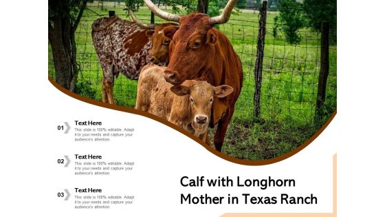 Calf With Longhorn Mother In Texas Ranch Ppt PowerPoint Presentation Infographics Example PDF