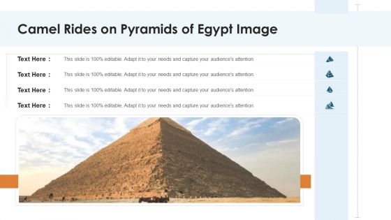 Camel Rides On Pyramids Of Egypt Image Ppt PowerPoint Presentation Gallery Graphics PDF