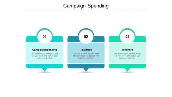 Campaign Spending Ppt PowerPoint Presentation Inspiration Images Cpb