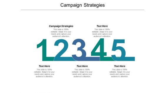 Campaign Strategies Ppt PowerPoint Presentation Styles Portfolio Cpb