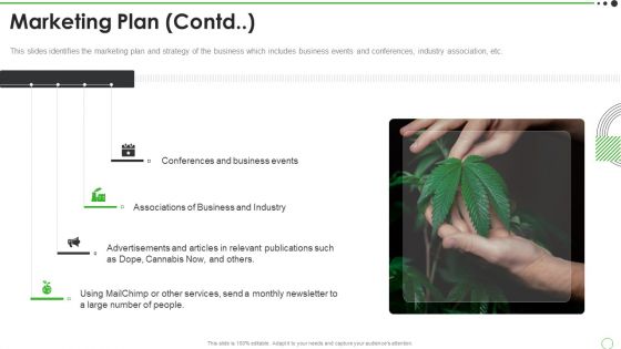 Cannabis Venture Capital Funding Marketing Plan Contd Information PDF