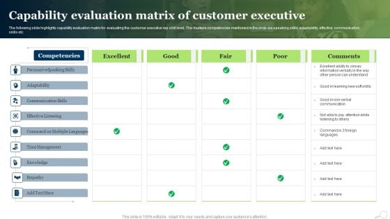 Capability Evaluation Matrix Of Customer Executive Ppt PowerPoint Presentation Infographics Influencers PDF