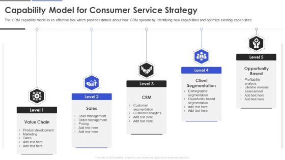 Capability Model For Consumer Service Strategy Microsoft PDF