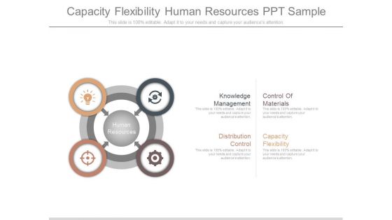 Capacity Flexibility Human Resources Ppt Sample