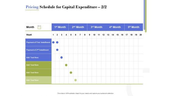 Capex Proposal Template Pricing Schedule For Capital Expenditure Month Inspiration PDF