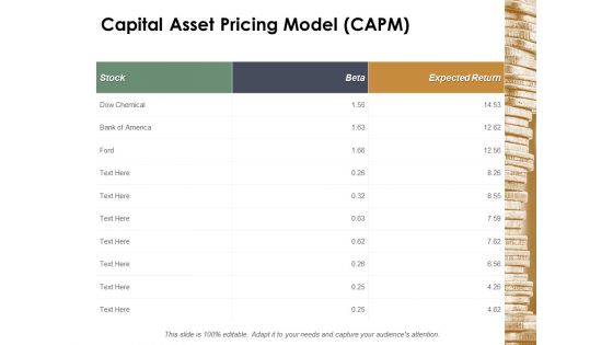 Capital Asset Pricing Model Capm Ppt Powerpoint Presentation Infographic Template Example 2015