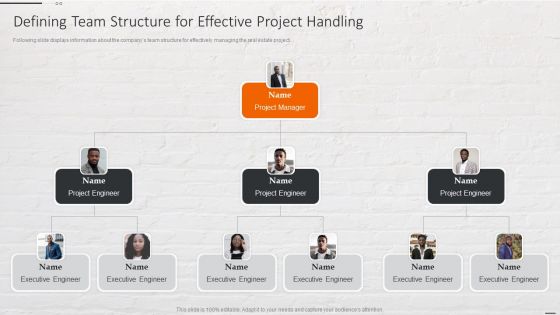 Capital Investment Options Defining Team Structure For Effective Project Handling Download PDF