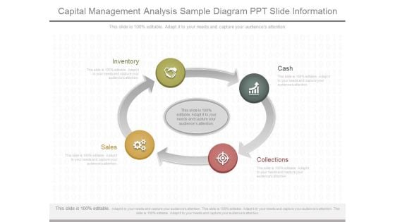 Capital Management Analysis Sample Diagram Ppt Slide Information