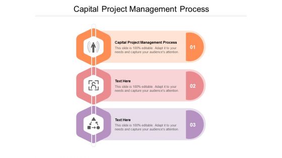 Capital Project Management Process Ppt PowerPoint Presentation Ideas Display Cpb