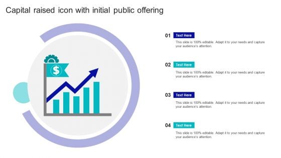 Capital Raised Icon With Initial Public Offering Summary PDF