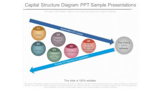 Capital Structure Diagram Ppt Sample Presentations Capital Structure Diagram Ppt Sample Presentations