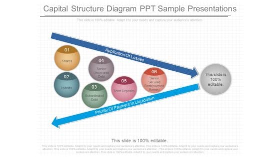 Capital Structure Diagram Ppt Sample Presentations